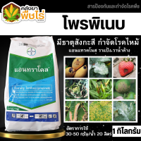 ? แอนทราโคล (โพรพิเนบ) 1กิโลกรัม ป้องกันกำจัดโรคใบจุดสีน้ำตาลที่มีสาเหตุมาจากเชื้อรา