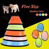 Cat Dog Anti-bite Collar Medical Recovery Collars Random Color Kitten Protection Cover Elizabethan Collar Circle For Pet Supply