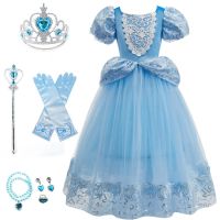 Little Girls Costume Cinderella Dress Kids Cosplay Cinderella Costume Kids Baby Girl Princess Party Christmas Dress 3 4 6 8 10T