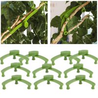 ❉◙❆ Branch Puller Branch Holder Clip Iron Stand for Plants Adjustable Plant Accessories Reusable Plastic Clamp Greenhouses Grafts