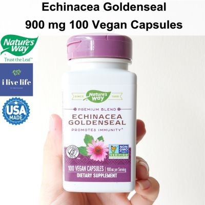 เอ็กไคนาเซีย รากโกลเด้นซีล Echinacea Goldenseal 900 mg 100 Vegan Capsules - Natures Way