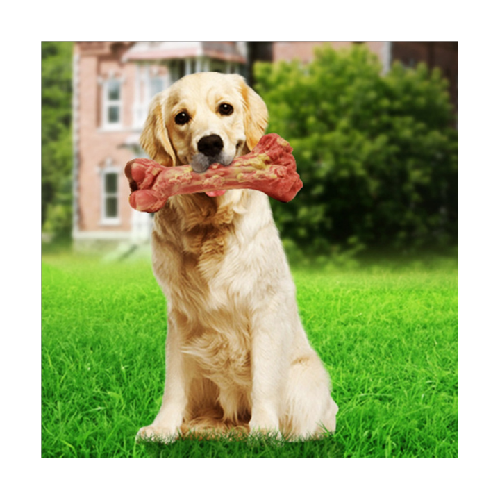 1-piece-pet-supplies-dog-simulation-bone-bite-resistant-dog-molar-stick-dog-decompression-training-toy-nylon-dog-toy-l