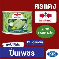 เมล็ดพันธุ์ ศรแดง แฟง ปิ่นเพชร 1,000 เมล็ด กระป๋อง ขนาด 1 กิโลกรัม