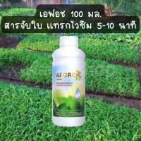 เอฟอช (AFORCH) สารจับใบคุณภาพสูงขนาด 1 ลิตร ช่วยเพิ่มประสิทธิภาพการแทรกซึมใบ พิเศษคุณภาพสูงใช้ได้กับทุกชนิดพืช