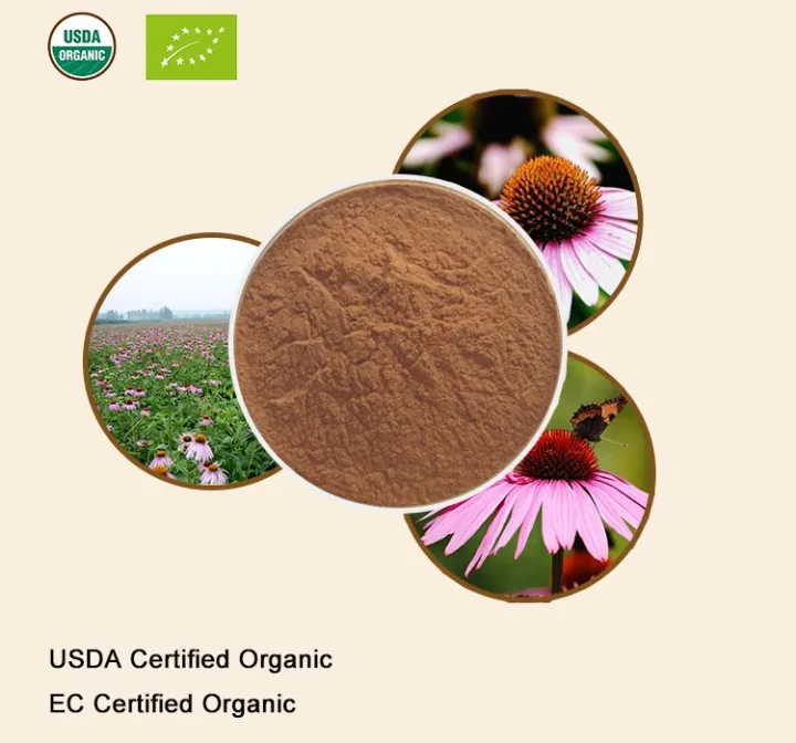 1001000G Natural Echinacea Extract 201 , Echina Cea Purpurea, Purple