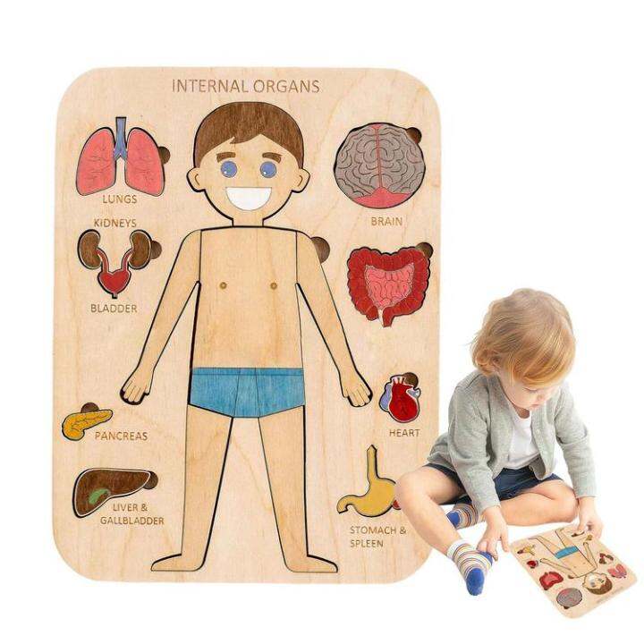 human-body-puzzle-human-body-structure-wooden-puzzle-for-children-educational-jigsaw-puzzles-human-body-parts-montessori-interactive-learning-puzzles-for-preschoolers-adorable