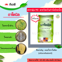 ดาโคนิล 1 กิโลกรัม (คลอโรทาโลนิล)