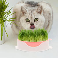 Zecetim Cat Grass Planter Household Grass Planting Box Nursery Cat Grass Hydroponic Case