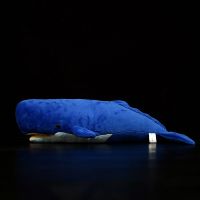 54Cm Lifelike Sperm Whale Simulation Stuffed Toys Soft Sea Animals Cachalot  Plush Toy Pot Whale Large Dolls Fin For Kids Gift