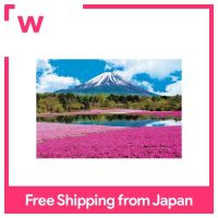 1053ปริศนาชิ้นจิ๊กซอว์ Phlox และ Fuji - Yamanashi ชิ้นเล็กสุด (26X38ซม.)