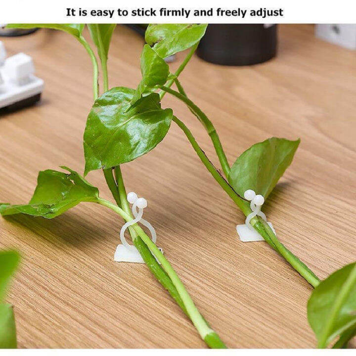 10pcs-set-artifact-plant-climbing-hook-fixed-paste-trace-wall-button-nail-free-long-clip-climbing-plant