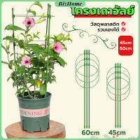 BizHome โครงเถาวัลย์ เสามะเขือเทศ โครงปลูก อุปกรณ์สำหรับพืชไม้เลื้อย 45cm 60cm plant trellis