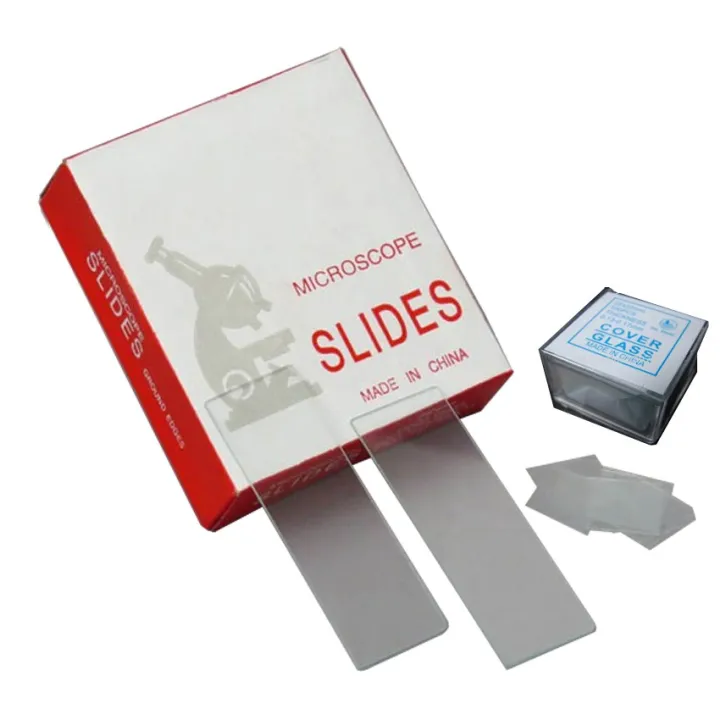 Clear Microscope Glass Slip with Glass Cover Slip Lazada PH