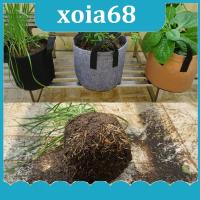 xoia68 Shop 2 Gallon Garden Plant Grow Bags Vegetable Flower Pot Planter DIY Potato Garden Pot Plant Growing Bag Tools