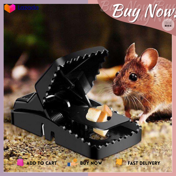 Traps Heavy Duty Snap Mouse Trap-Easy Catcher Mice Kit | Lazada PH