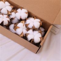 5/10PCS White Cotton Florist Supplies Wedding Car Decorative Wreaths Christmas Home Decor Diy Gifts Box Cheap Artificial Flowers