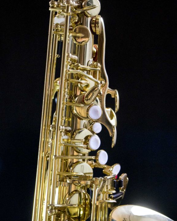 แซกโซโฟน-saxophone-coleman-standard-alto