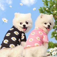 Pet daisy T-shirt  summer fashion cat dog vest cute sweater kitten puppy daisy two-legged clothes pet clothing Clothing Shoes Accessories Costumes