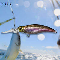 เหยี่อปลาดีไซน์ไบโอนิคจำลองแบบ T-FLY ปลาเสมือนจริงเหยี่อปลาเครื่องชั่งปลาสำหรับบ่อน้ำกลางแจ้งหรือบ่อน้ำลอยได้เหยี่อปลาออกแบบโดยใช้ไบโอนิกปลาเสมือนจริงเหยี่อปลาเครื่องชั่งปลาสำหรับบ่อน้ำกลางแจ้งหรือ Sx5la-llh-my แม่น้ำ