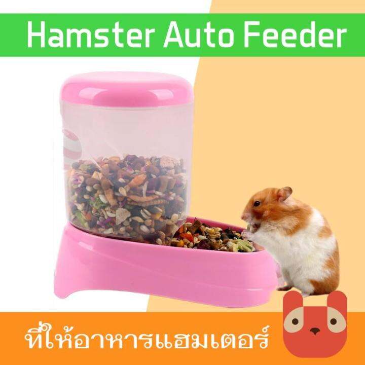 ส่งฟรี-petaholic-ที่ให้อาหารแฮมเตอร์-rj539-กระต่าย-กระรอก-อัตโนมัติ-hamster-auto-feeder