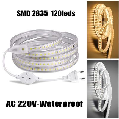 AC220V LED Strip Lights SMD2835 120leds/m Flexible Waterproof Led Light With EU Plug Kitchen Outdoor Garden Lamp Indoor Lighting LED Strip Lighting