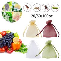 50PCS Fruit Protection Net Bags Fruit Barrier Cover Anti Bird Mesh for Orchard Apples Grapes Greenhouse Vegetable Insect-proof