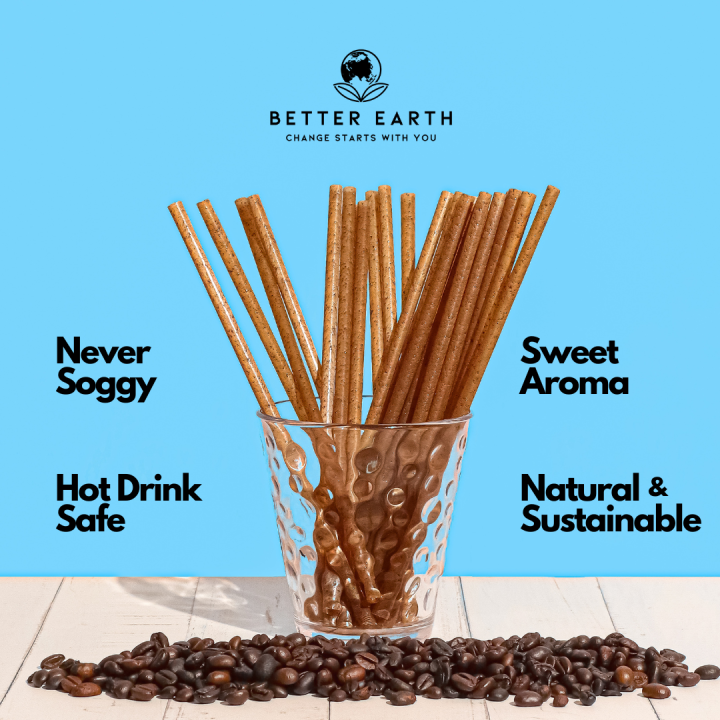 Coffee Grounds Straw 100 pcs 6mm Standard Size for Iced Coffee