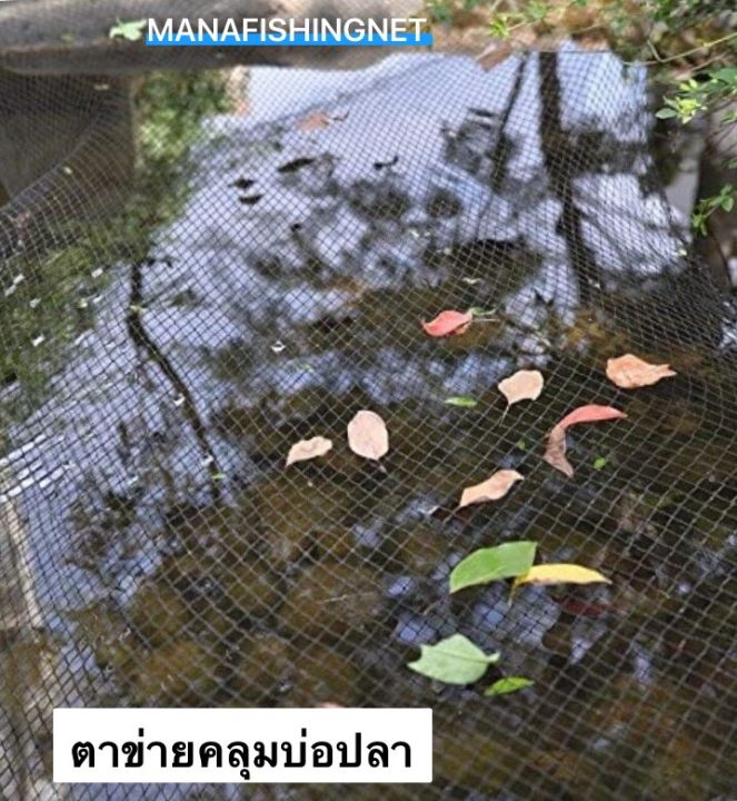 ตาข่ายคลุมบ่อปลาในสวนขนาดใหญ่-อ่างเลี้ยงปลา-ป้องกันนก-ป้องกันใบไม้ล่วง-ขนาด2-5x3เมตร-fish-pond-net