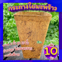 (เซ็ต 10 ใบ) กระถางใยมะพร้าว 6 นิ้ว ทรงสูง? กระถางเพาะชํา กระถางต้นไม้ 6 นิ้ว อุ้มน้ำ ระบายอากาศได้ดี รากเดินดี  ย่อยสลายได้เอง ลดโลกร้อน?