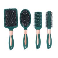 4Pcs Hair Brush Set for Women Wet or Dry Hair Airbag Comb Detangling Brush and Hair Comb Set