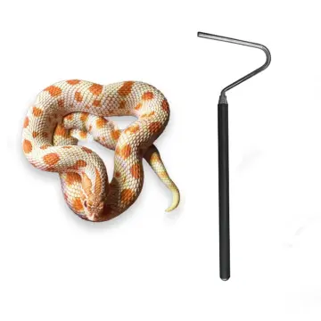 2pcs Stainless Steel Extensible Snake Hook Retractable Reptile