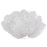 10 Pieces White Natural Ostrich Feather 20-25cm Wedding DIY