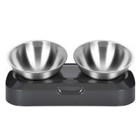 Stainless Steel Cat Bowl Easy to Clean Dog Food and Water Bowls with Stand Metal Cats Dogs Double Single Pet Feeding Feeder Bowl