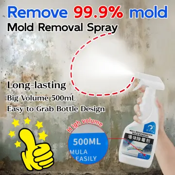 Mold Spray - Best Price in Singapore - Jan 2024