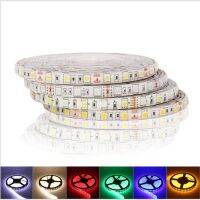 5M/Roll 24VDC 5050 300 Diode led strip ,10mm wide 10cm cut 12W per meter linear tape light ,outdoor IP65 waterproof flex tape