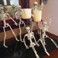 【YP】 Decorations 40cm Posable Lifelike Plastic Skeletons for Haunted Graveyard Scene Props