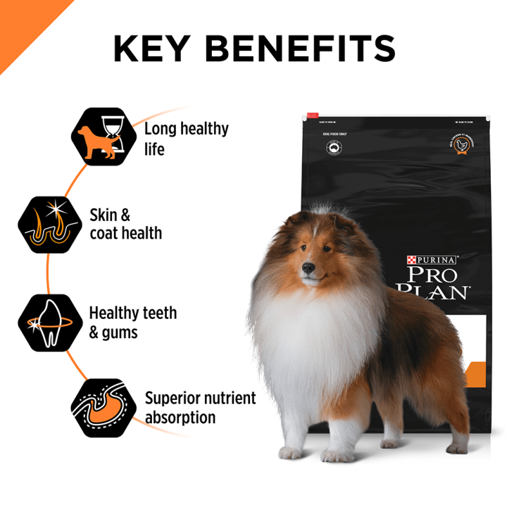 proplan-medium-adult-15kg-อาหารสำหรับสุนัขโตพันธุ์กลาง-ทุกสายพันธุ์