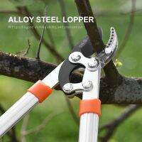 【LZ】 Telescopic Long Length Scissor Hedge Anvil Shear Anti-Slip Grip Garden Pruning Hand Tool Ratchet Cut Tree Branch Garden Tools