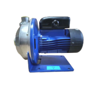 ปั๊มน้ำ LOWARA รุ่น CEA 70/3/A 0.5HP 380V