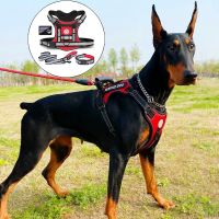 【FCL】✱♠♞ Doberman Dog Harness Collar Leash Set Walking Harnesses for Medium Large Dogs German Shepherd mascotas Chain Supplies