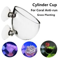 Glass Aquarium Coral Container Sea Anemone Anti Run Cup Fish Tank Water Plant Bonsai Cylinder Pot for Coral Plant Decoration