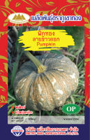 เมล็ดฟักทอง ลายข้าวตอก (Pumpkin Seeds) ผลใหญ่ เนื้อแน่นเหนียว