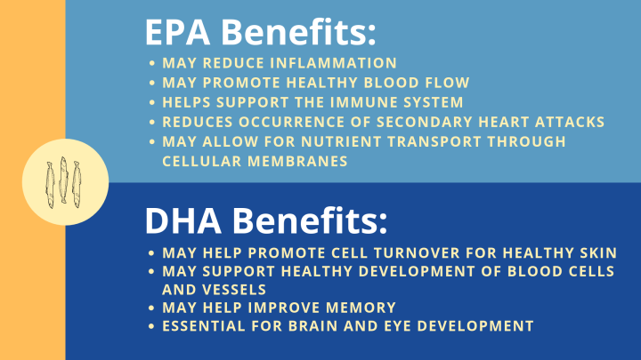 ดีเอชเอ-อีพีเอ-dha-250-epa-125-120-softgels-now-foods-โอเมก้า-3-น้ำมันปลา