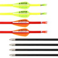 6/12pcs ID 4.2mm Pure Carbon Arrow Spine 400 500 600 700 800 900 1000 with 1.75 Plastic Vanes For Compound /Recuvre Bow Shooting