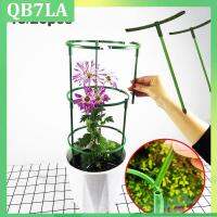 15cm 25cm Plant Support Cage Plie climbing Holder Stand for Flowers Greenhouse Arrangement Rod Orchard Garden Bonsai Tool supply QB7LA Shop