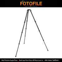 ขาตั้งกล้อง 3 ขา Gitzo GT2542LS Systematic Series 2 Carbon Tripod- Long 4-Section- Eye Level / FOTOFILE