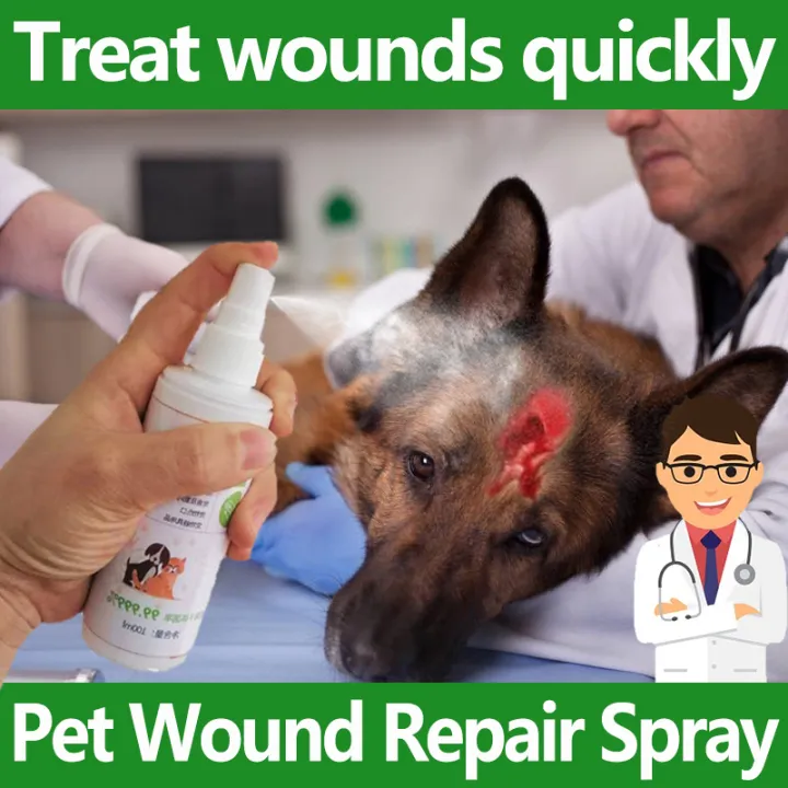 how do you treat a dog fight wound