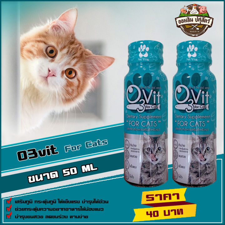 o3vit วิตามินบำรุงแมว for Cat ขนาด 50 ml ช่วยกระตุ้นภูมิ ไม่ป่วยง่าย โตไว ขนสวย แข็งแรงสมบูรณ์ กระตุ้นความอยากอาหาร