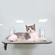 Miusue chỗ nằm cho Mèo Bên Cửa Sổ Mèo võng TREO CỬA SỔ Cho Trong Nhà Mèo