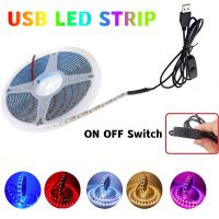 USB LED Strip Light 5V TV Background Flexible Stripe Ribbon With ON/OFF Switch SMD2835 60Leds/m 3528SMD Cabinet Rope Tape Lamp LED Strip Lighting